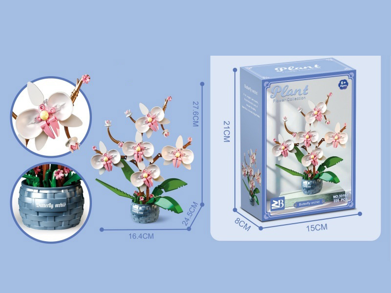 Building Block: Phalaenopsis