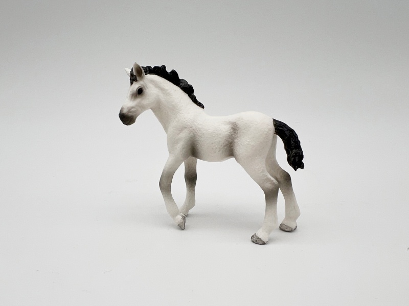 White Andalusian Pony Model