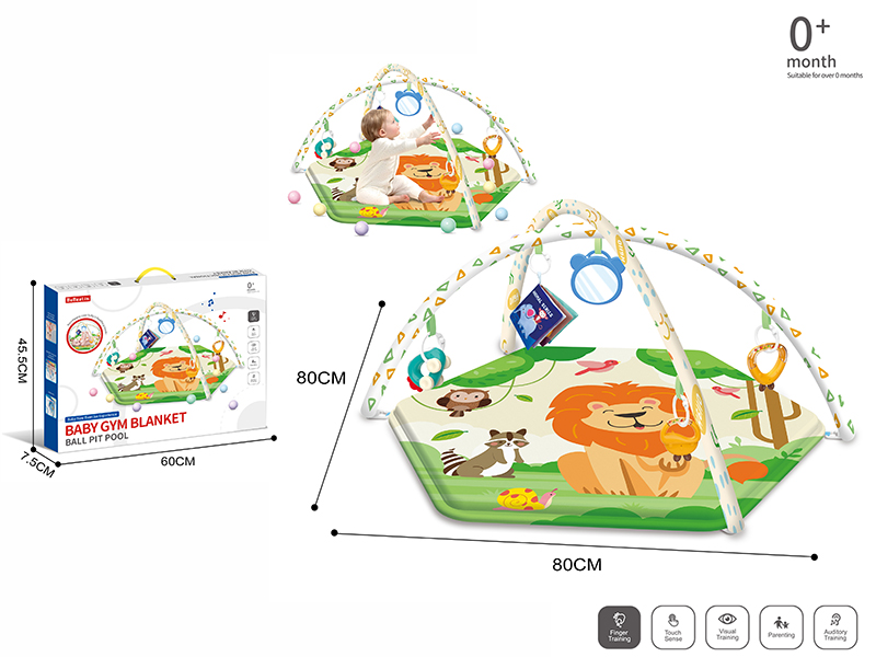 Baby Gym Blanket + Cloth Book + Baby Rattles + 20 Ocean Balls