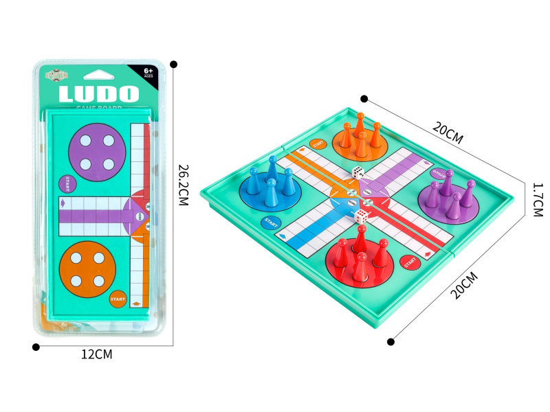 Magnetism Ludo Game
