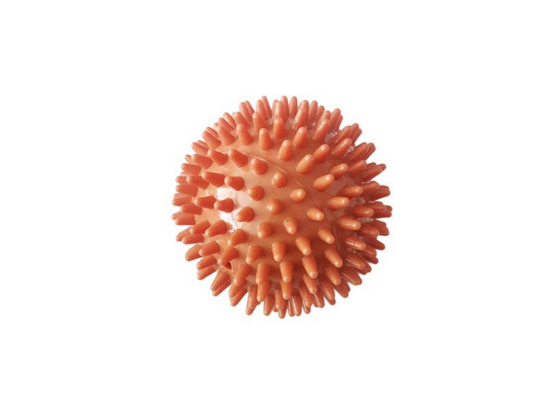 9.5 Spiked Ball Pet Toys