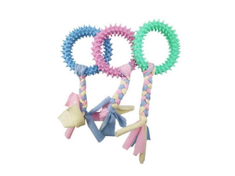 A Pet Toy With A Cloth Ring