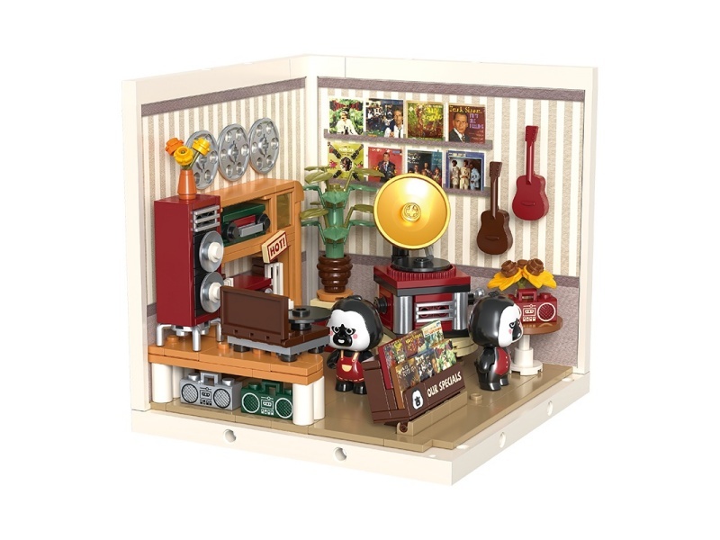 Building Blocks: New Senior'S Vinyl Record Store