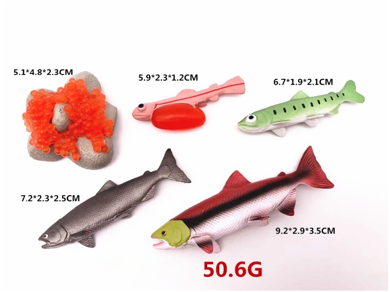 Salmon Life Cycle Model