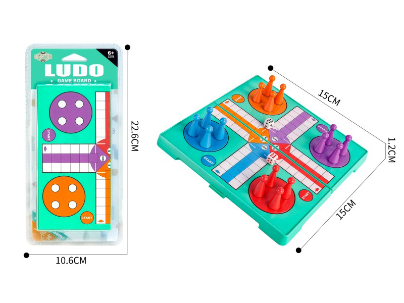 Magnetism Ludo Game