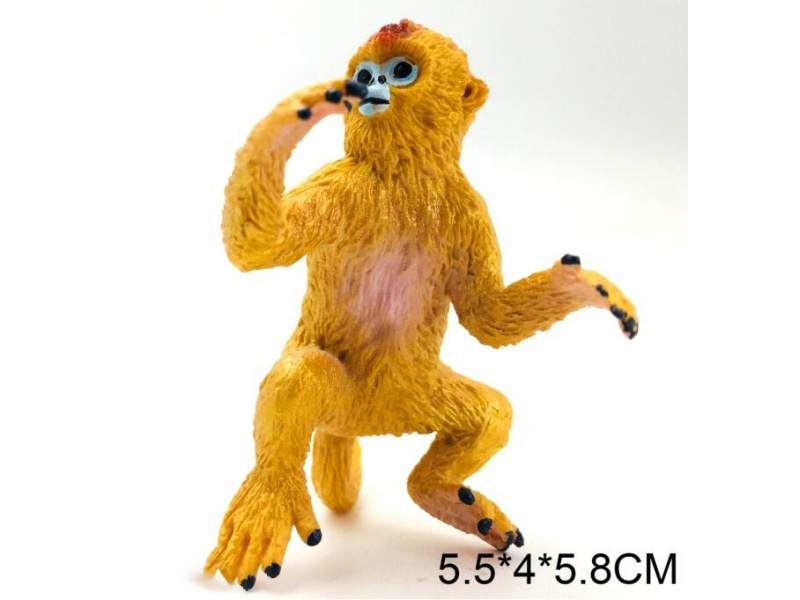 Little Golden Monkey