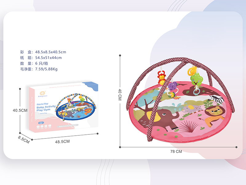 Baby Activity Play Gym