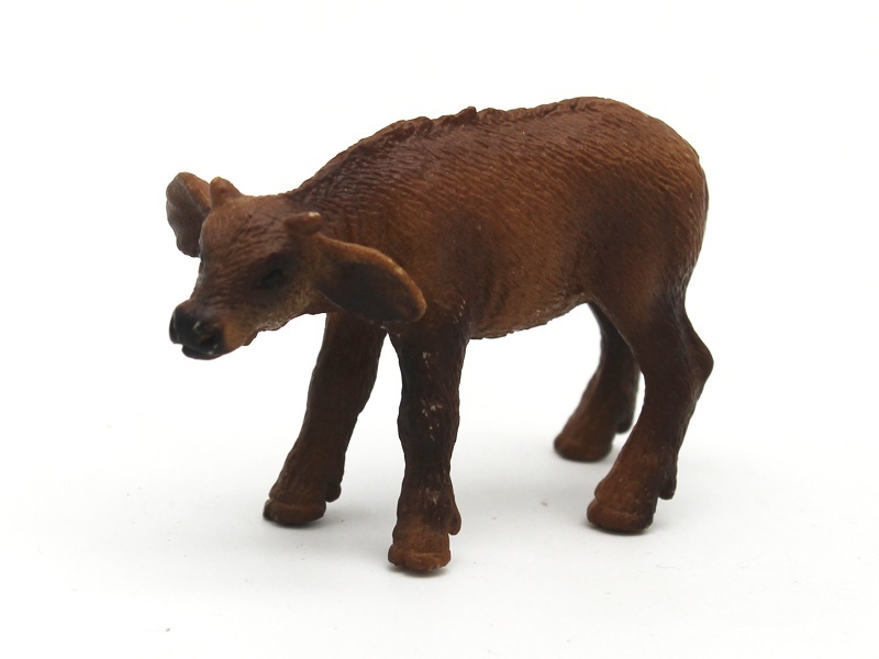 Little African Buffalo