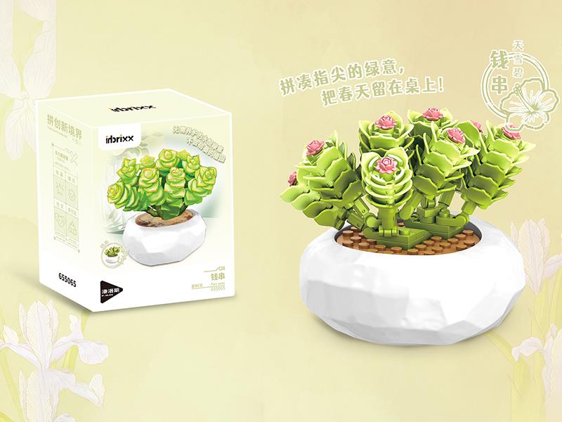 Plant Series Small Particle Building Blocks - Crassula Marnieriana 81PCS