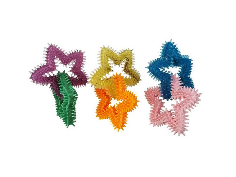 Spiny Double-Star Pet Toy