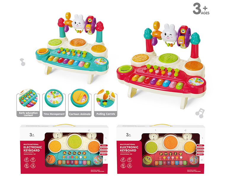 Multifunctional Electronic Organ