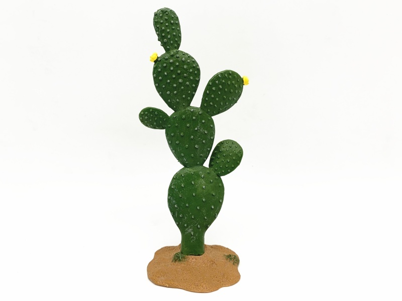 Cactus Model