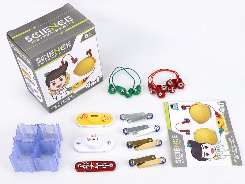 Fruit Power Generation Science Experiment