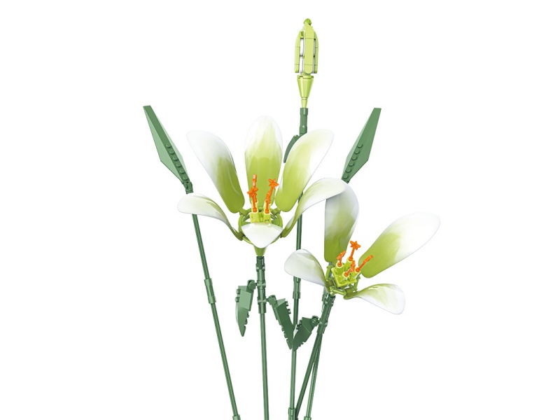 Building Block: Qian Chun