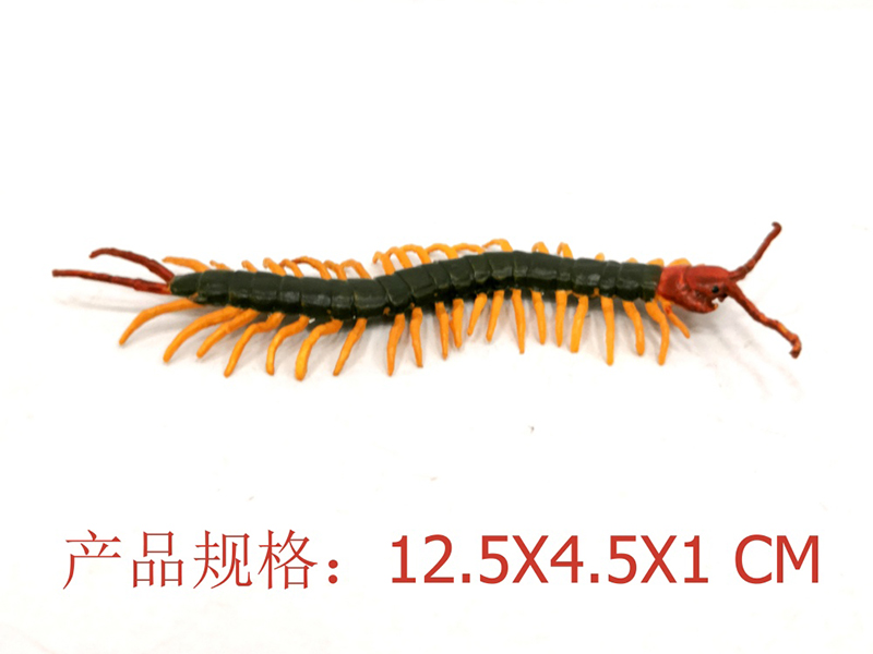 Giant Centipede Model