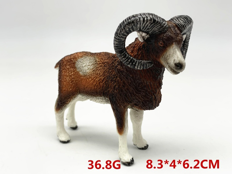 European Arched Lamb