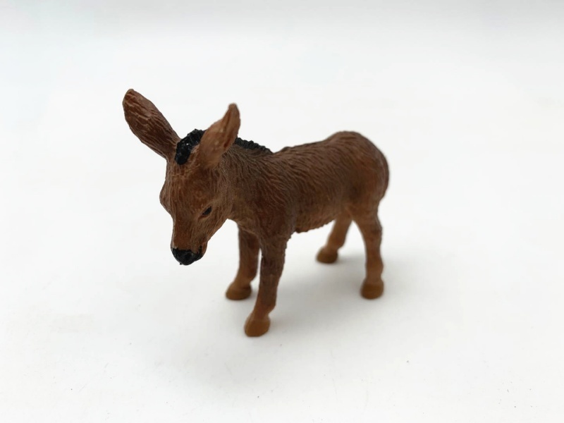 Donkey Cub