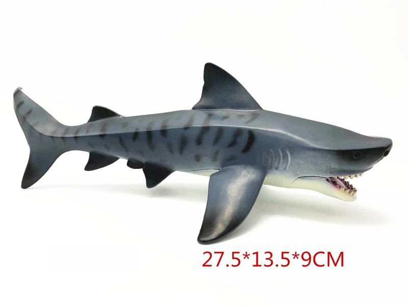 Hollow Tiger Shark