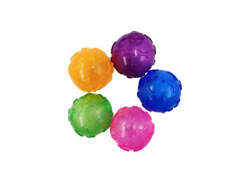 Transparent Lighted Bone Ball Pet Toy