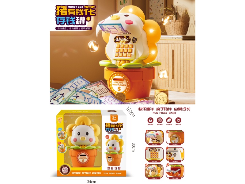 Piggy Bank For Pig Money