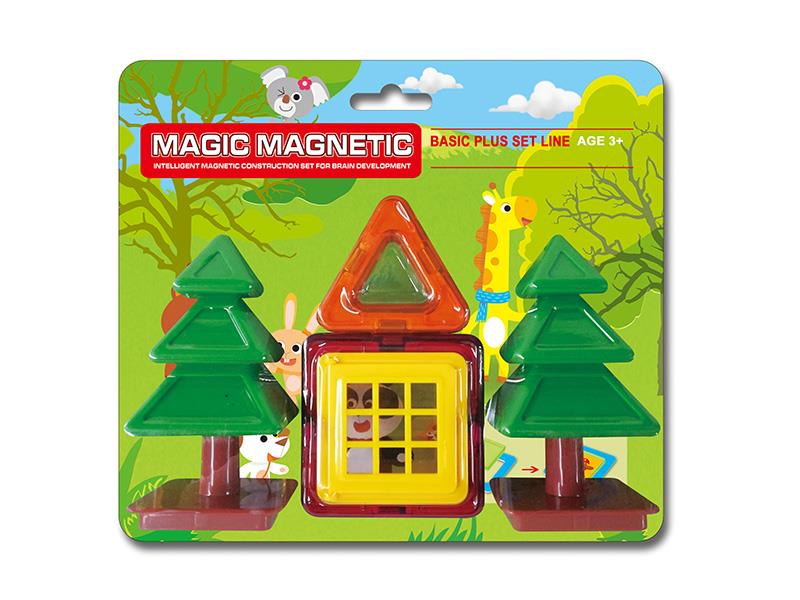 Magnetic Building Blocks