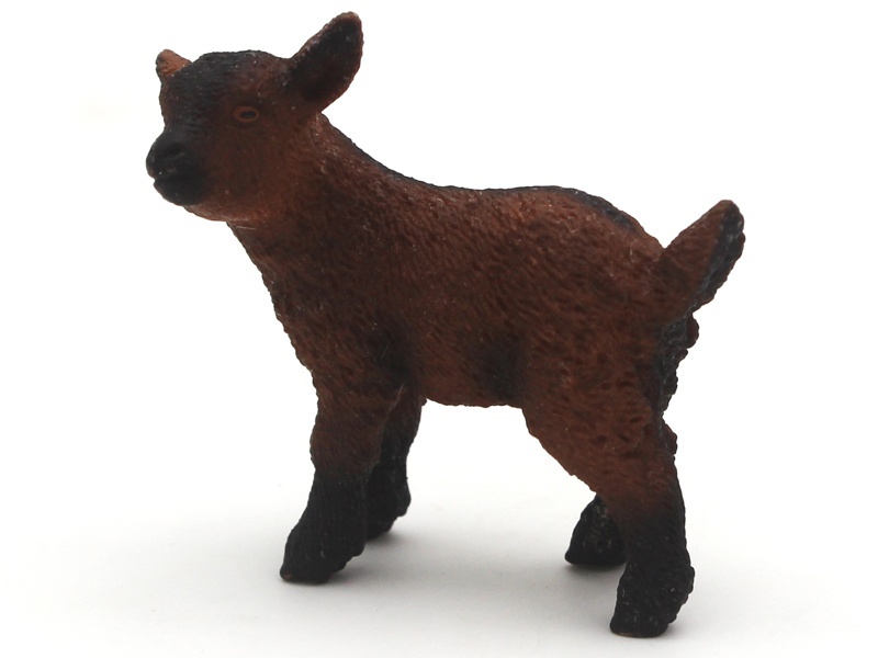 Little Lamb