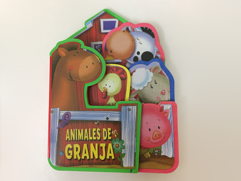 Castellano EVA Early Education Book