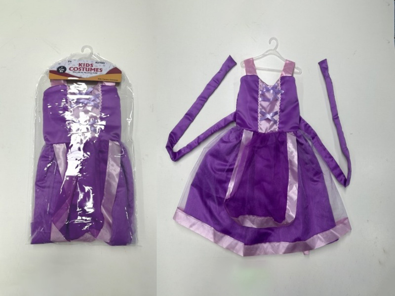 Princess Sofia Dress