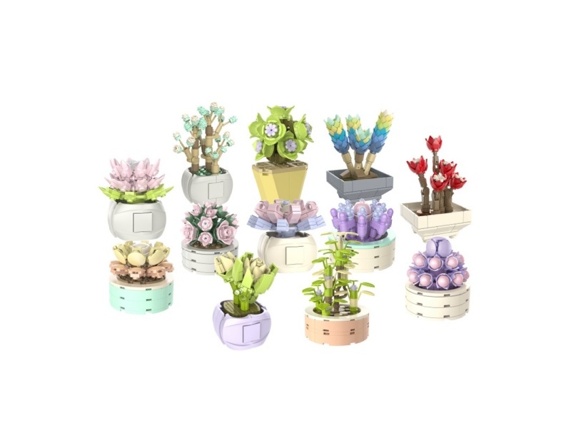 Building Blocks: Succulent Set