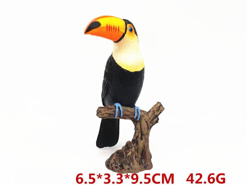 Toucan