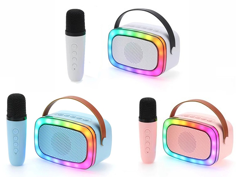 Wireless Bluetooth Portable Speaker(Single Microphone)
