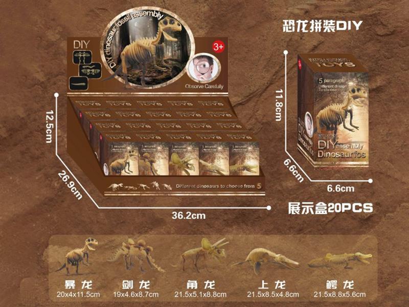 DIY Assembly Dinosaur Skeleton Toys 20pcs