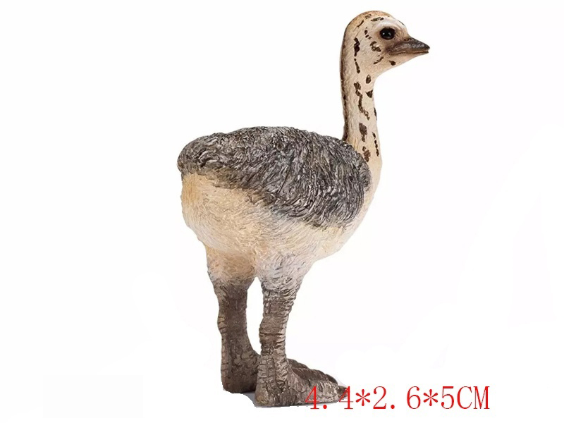 Little Ostrich