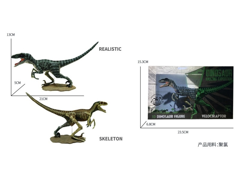 Velociraptor (Half-Skeleton) Simulation Dinosaur Toy