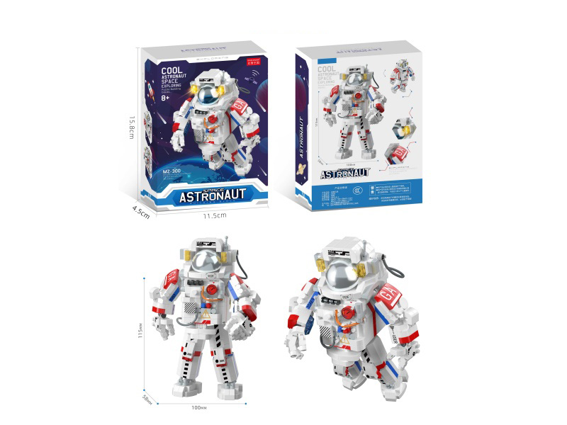 Building Blocks: 810 PCS For Astronauts