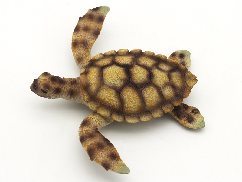 Sea Turtle