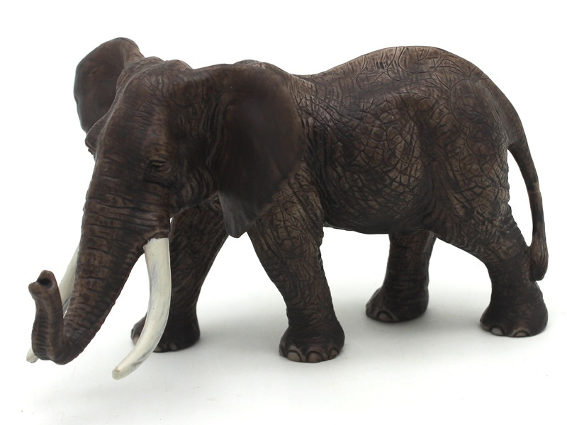 Male African Elephant