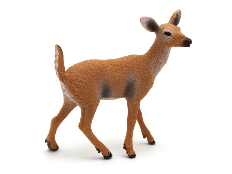 Female White-Tailed Deer (Thick-Faced)