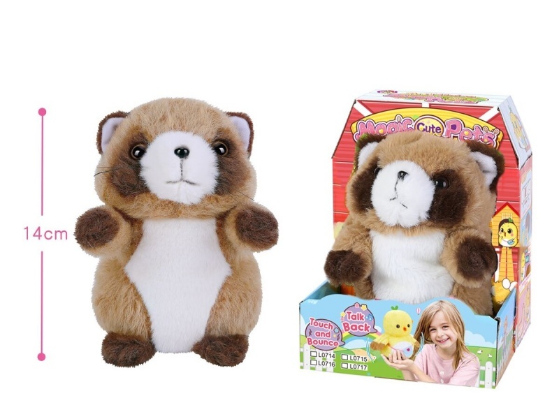 Magic Little Raccoon