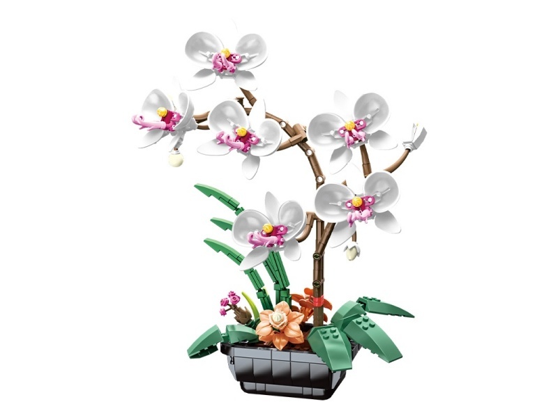 Phalaenopsis Building Blocks(White)