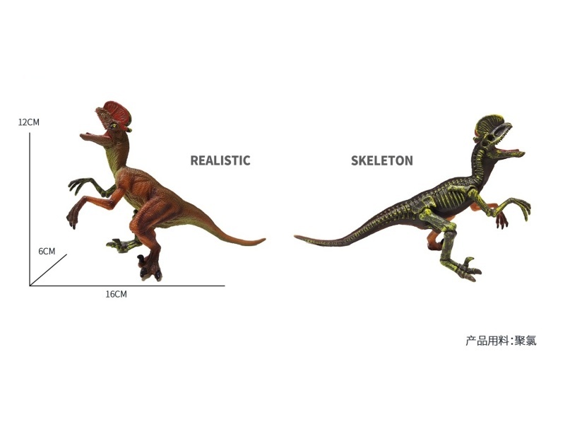 Semi-Skeleton - Double-Crested Dragon Simulation Dinosaur Toy