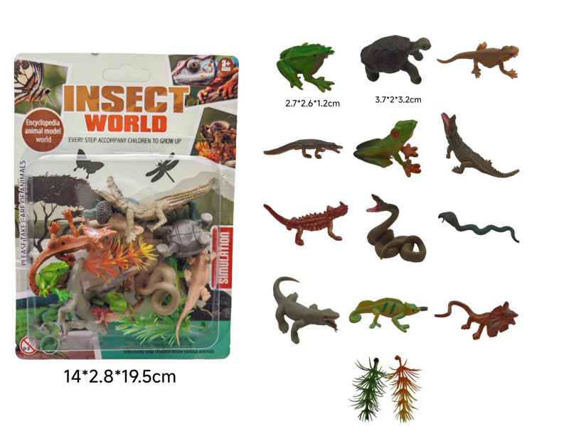 A Set Of 12 Reptiles