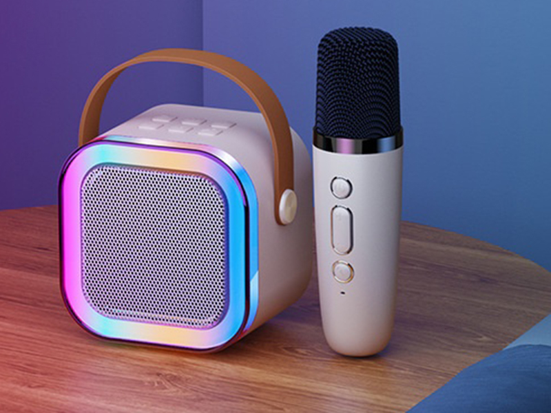 Wireless Bluetooth Portable Speaker(Single Microphone) High Configuration