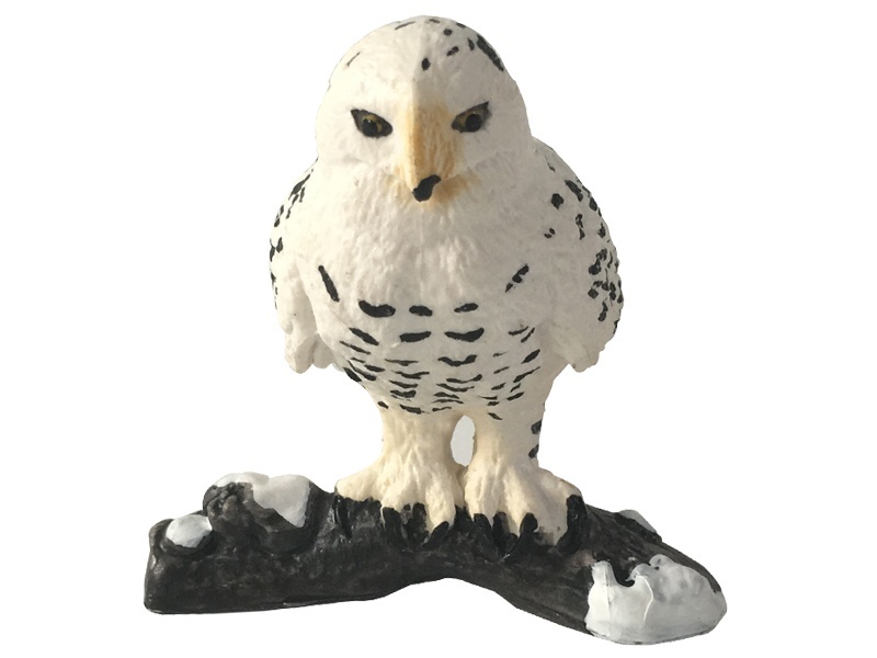 Snowy Owl