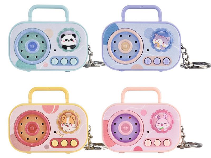 Portable Mini Recorder Keychain