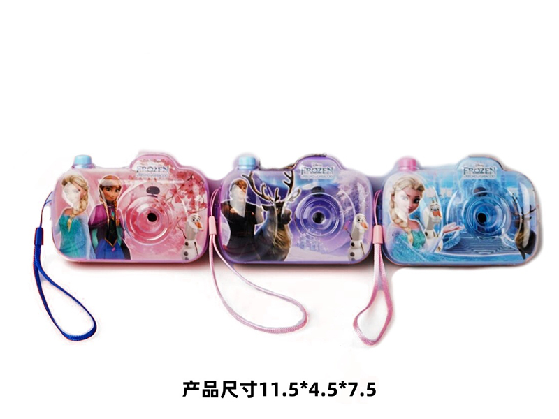 Frozen Camera With Projection Function