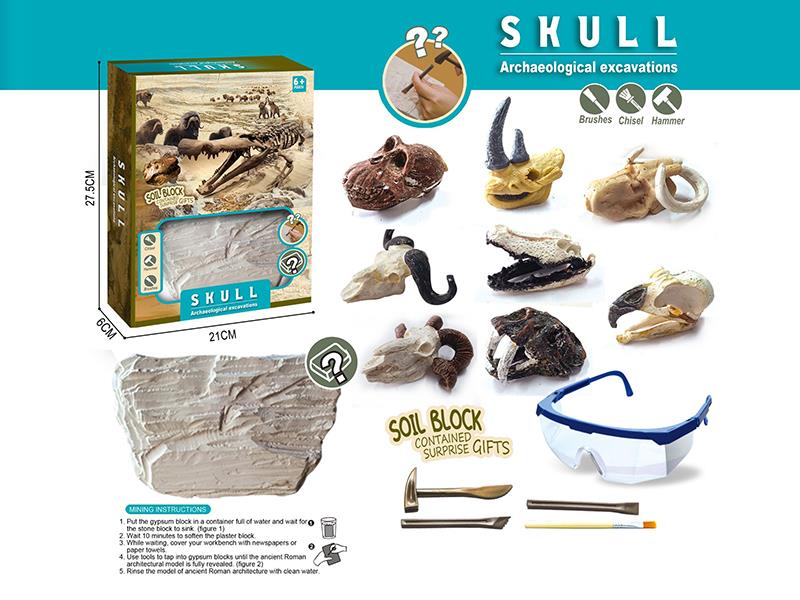 Skull Archaeological Excavation Toy