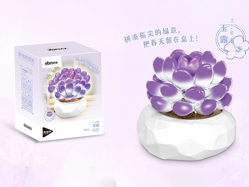 Plant Series Small Particle Building Blocks - Haworthia Cooperi 68CS