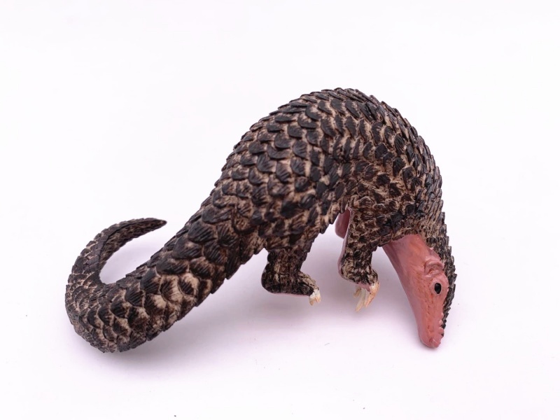 Pangolin Black