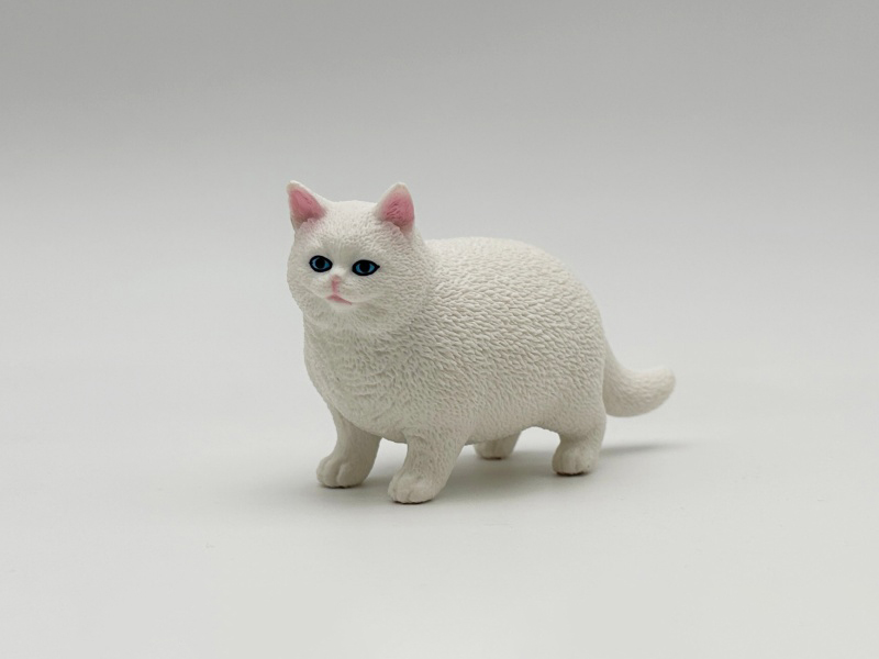 White Cat Model